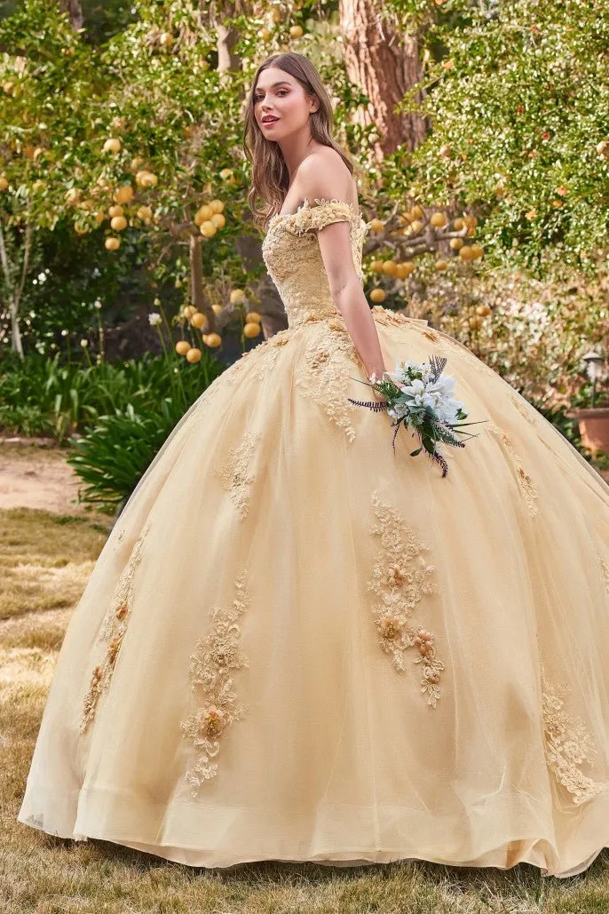 15702 OFF THE SHOULDER FLORAL QUINCE BALL GOWN